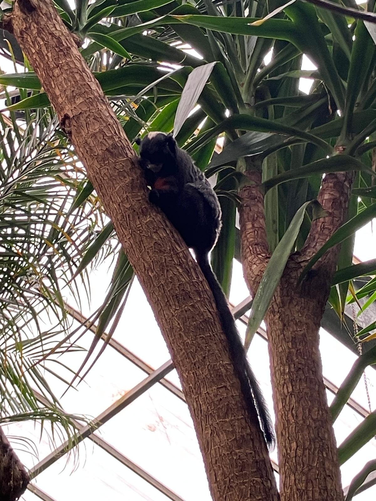 Foto 1 bij artikel "Uitje naar de Orchideenhoeve in Luttelgeest".